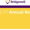 2016-2017 annual report cover
